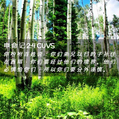 Picture 02 - 申 命 记 2:4 CUVS - 你 吩 咐 百 姓 说 ： 你 们 弟 兄 以 - Bible Verse Picture