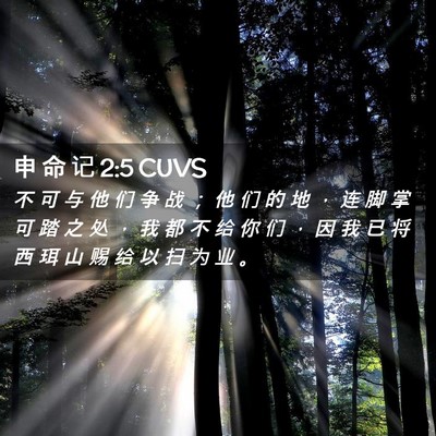 Picture 02 - 申 命 记 2:5 CUVS - 不 可 与 他 们 争 战 ； 他 们 的 地 - Bible Verse Picture