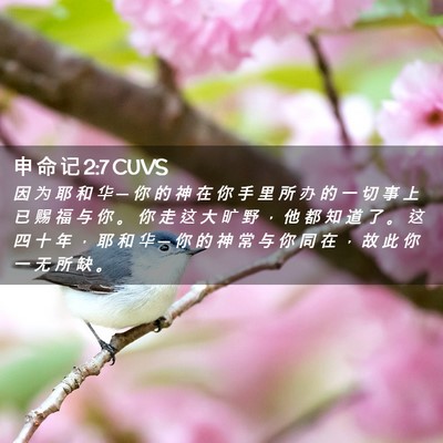 Picture 02 - 申 命 记 2:7 CUVS - 因 为 耶 和 华 ─ 你 的 神 在 你 手 - Bible Verse Picture