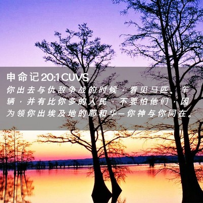 Picture 02 - 申 命 记 20:1 CUVS - 你 出 去 与 仇 敌 争 战 的 时 候 ， - Bible Verse Picture