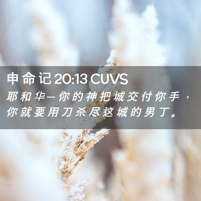 Picture 02 - 申 命 记 20:13 CUVS - 耶 和 华 ─ 你 的 神 把 城 交 付 你 - Bible Verse Picture