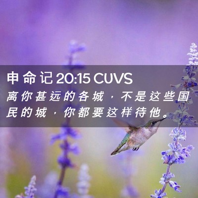 Picture 02 - 申 命 记 20:15 CUVS - 离 你 甚 远 的 各 城 ， 不 是 这 些 - Bible Verse Picture