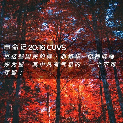 Picture 02 - 申 命 记 20:16 CUVS - 但 这 些 国 民 的 城 ， 耶 和 华 ─ - Bible Verse Picture