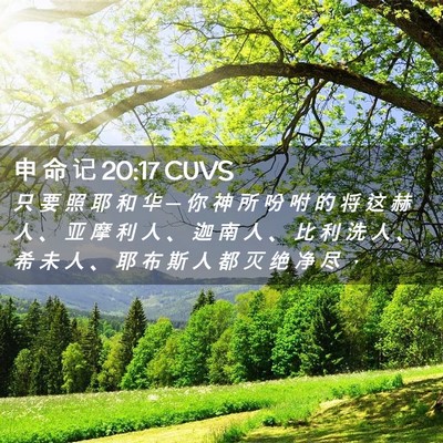 Picture 02 - 申 命 记 20:17 CUVS - 只 要 照 耶 和 华 ─ 你 神 所 吩 咐 - Bible Verse Picture