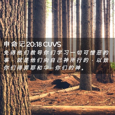 Picture 02 - 申 命 记 20:18 CUVS - 免 得 他 们 教 导 你 们 学 习 一 切 - Bible Verse Picture