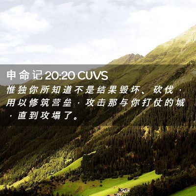Picture 02 - 申 命 记 20:20 CUVS - 惟 独 你 所 知 道 不 是 结 果 毁 坏 - Bible Verse Picture