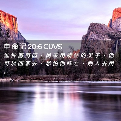 Picture 02 - 申 命 记 20:6 CUVS - 谁 种 葡 萄 园 ， 尚 未 用 所 结 的 - Bible Verse Picture