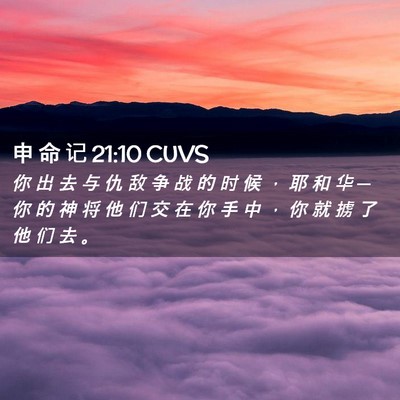 Picture 02 - 申 命 记 21:10 CUVS - 你 出 去 与 仇 敌 争 战 的 时 候 ， - Bible Verse Picture
