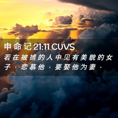 Picture 02 - 申 命 记 21:11 CUVS - 若 在 被 掳 的 人 中 见 有 美 貌 的 - Bible Verse Picture