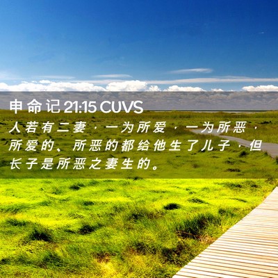 Picture 02 - 申 命 记 21:15 CUVS - 人 若 有 二 妻 ， 一 为 所 爱 ， 一 - Bible Verse Picture