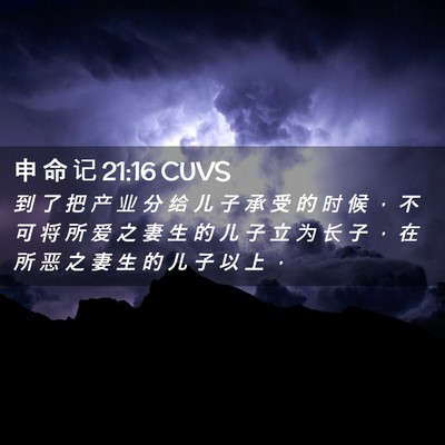 Picture 02 - 申 命 记 21:16 CUVS - 到 了 把 产 业 分 给 儿 子 承 受 的 - Bible Verse Picture