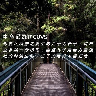 Picture 02 - 申 命 记 21:17 CUVS - 却 要 认 所 恶 之 妻 生 的 儿 子 为 - Bible Verse Picture