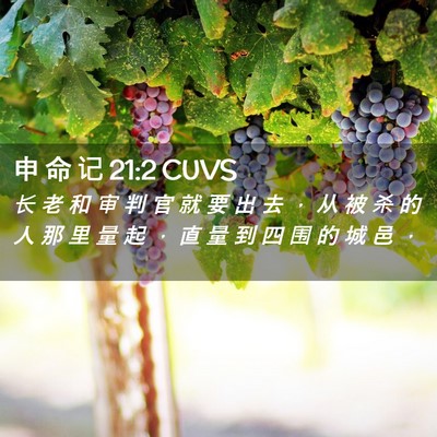 Picture 02 - 申 命 记 21:2 CUVS - 长 老 和 审 判 官 就 要 出 去 ， 从 - Bible Verse Picture