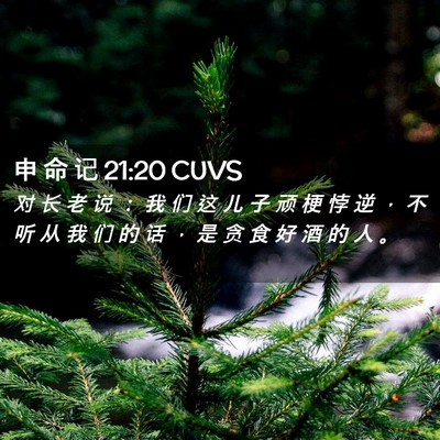 Picture 02 - 申 命 记 21:20 CUVS - 对 长 老 说 ： 我 们 这 儿 子 顽 梗 - Bible Verse Picture