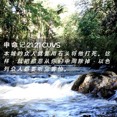 Picture 02 - 申 命 记 21:21 CUVS - 本 城 的 众 人 就 要 用 石 头 将 他 - Bible Verse Picture