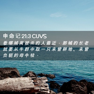 Picture 02 - 申 命 记 21:3 CUVS - 看 哪 城 离 被 杀 的 人 最 近 ， 那 - Bible Verse Picture
