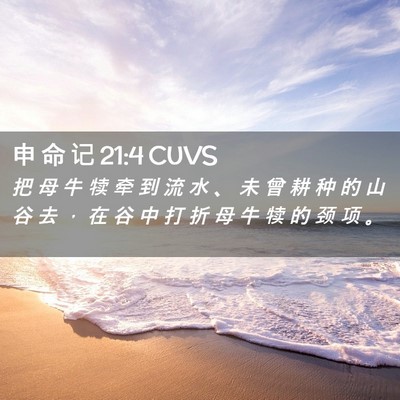 Picture 02 - 申 命 记 21:4 CUVS - 把 母 牛 犊 牵 到 流 水 、 未 曾 耕 - Bible Verse Picture