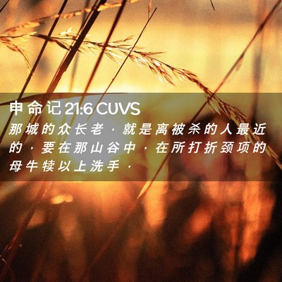 Picture 02 - 申 命 记 21:6 CUVS - 那 城 的 众 长 老 ， 就 是 离 被 杀 - Bible Verse Picture
