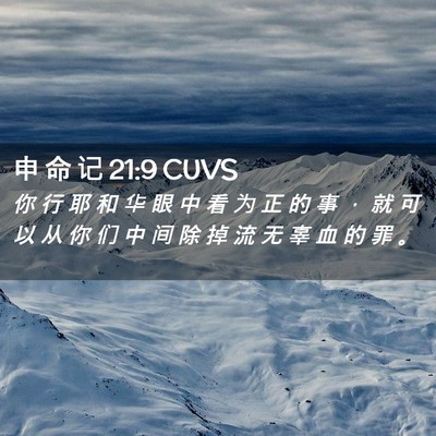 Picture 02 - 申 命 记 21:9 CUVS - 你 行 耶 和 华 眼 中 看 为 正 的 事 - Bible Verse Picture
