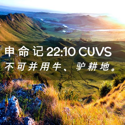Picture 02 - 申 命 记 22:10 CUVS - 不 可 并 用 牛 、 驴 耕 地 - Bible Verse Picture