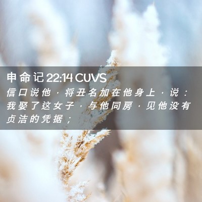Picture 02 - 申 命 记 22:14 CUVS - 信 口 说 他 ， 将 丑 名 加 在 他 身 - Bible Verse Picture