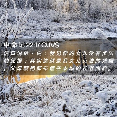 Picture 02 - 申 命 记 22:17 CUVS - 信 口 说 他 ， 说 ： 我 见 你 的 女 - Bible Verse Picture
