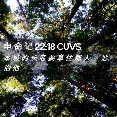 Picture 02 - 申 命 记 22:18 CUVS - 本 城 的 长 老 要 拿 住 那 人 ， 惩 - Bible Verse Picture