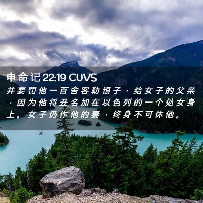 Picture 02 - 申 命 记 22:19 CUVS - 并 要 罚 他 一 百 舍 客 勒 银 子 ， - Bible Verse Picture