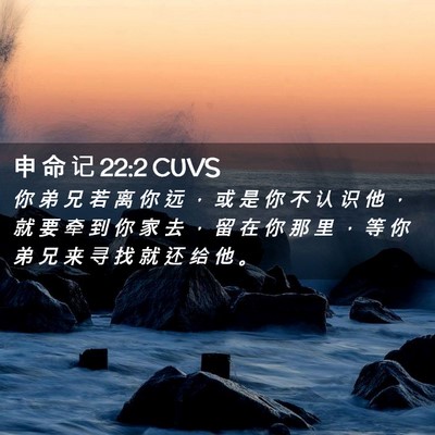 Picture 02 - 申 命 记 22:2 CUVS - 你 弟 兄 若 离 你 远 ， 或 是 你 不 - Bible Verse Picture