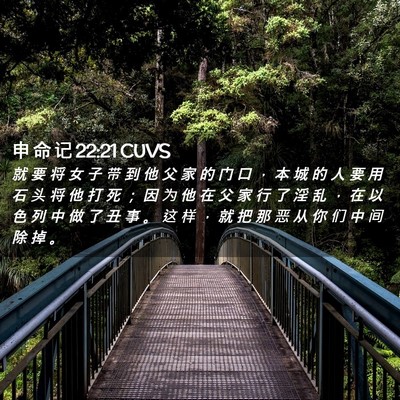 Picture 02 - 申 命 记 22:21 CUVS - 就 要 将 女 子 带 到 他 父 家 的 门 - Bible Verse Picture