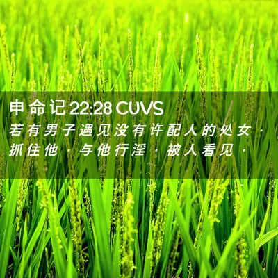 Picture 02 - 申 命 记 22:28 CUVS - 若 有 男 子 遇 见 没 有 许 配 人 的 - Bible Verse Picture