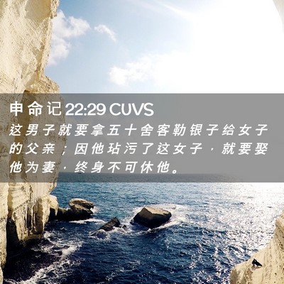 Picture 02 - 申 命 记 22:29 CUVS - 这 男 子 就 要 拿 五 十 舍 客 勒 银 - Bible Verse Picture