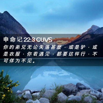 Picture 02 - 申 命 记 22:3 CUVS - 你 的 弟 兄 无 论 失 落 甚 麽 ， 或 - Bible Verse Picture