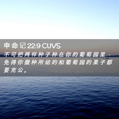 Picture 02 - 申 命 记 22:9 CUVS - 不 可 把 两 样 种 子 种 在 你 的 葡 - Bible Verse Picture
