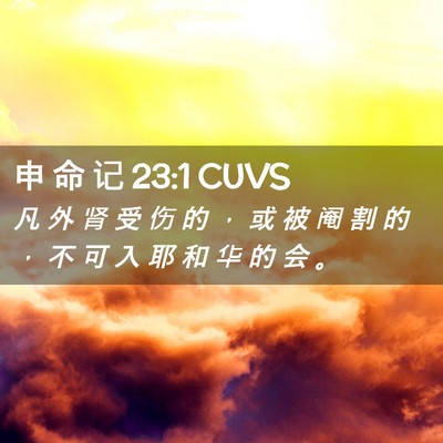 Picture 02 - 申 命 记 23:1 CUVS - 凡 外 肾 受 伤 的 ， 或 被 阉 割 的 - Bible Verse Picture