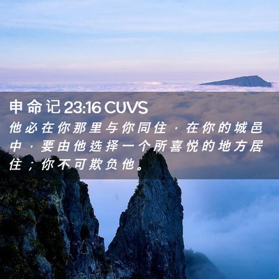 Picture 02 - 申 命 记 23:16 CUVS - 他 必 在 你 那 里 与 你 同 住 ， 在 - Bible Verse Picture