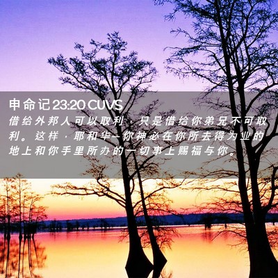 Picture 02 - 申 命 记 23:20 CUVS - 借 给 外 邦 人 可 以 取 利 ， 只 是 - Bible Verse Picture