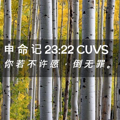 Picture 02 - 申 命 记 23:22 CUVS - 你 若 不 许 愿 ， 倒 无 罪 - Bible Verse Picture
