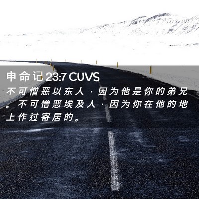 Picture 02 - 申 命 记 23:7 CUVS - 不 可 憎 恶 以 东 人 ， 因 为 他 是 - Bible Verse Picture