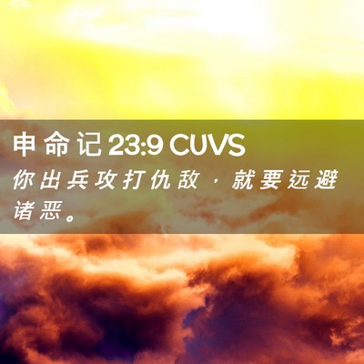 Picture 02 - 申 命 记 23:9 CUVS - 你 出 兵 攻 打 仇 敌 ， 就 要 远 避 - Bible Verse Picture