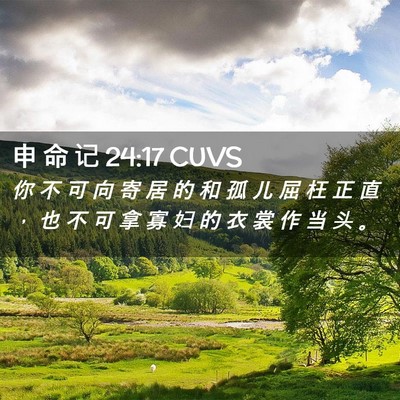Picture 02 - 申 命 记 24:17 CUVS - 你 不 可 向 寄 居 的 和 孤 儿 屈 枉 - Bible Verse Picture