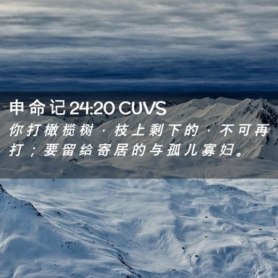 Picture 02 - 申 命 记 24:20 CUVS - 你 打 橄 榄 树 ， 枝 上 剩 下 的 ， - Bible Verse Picture