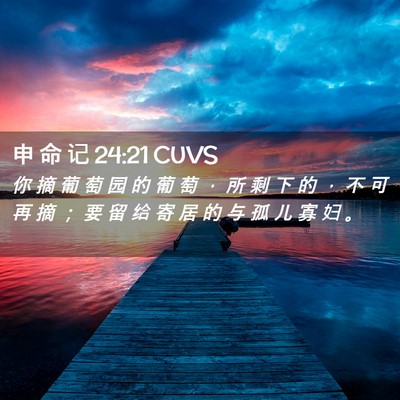 Picture 02 - 申 命 记 24:21 CUVS - 你 摘 葡 萄 园 的 葡 萄 ， 所 剩 下 - Bible Verse Picture