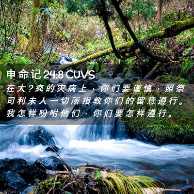 Picture 02 - 申 命 记 24:8 CUVS - 在 大 ? 疯 的 灾 病 上 ， 你 们 要 谨 - Bible Verse Picture