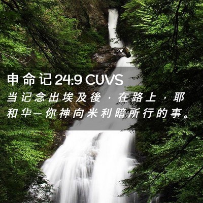Picture 02 - 申 命 记 24:9 CUVS - 当 记 念 出 埃 及 後 ， 在 路 上 ， - Bible Verse Picture