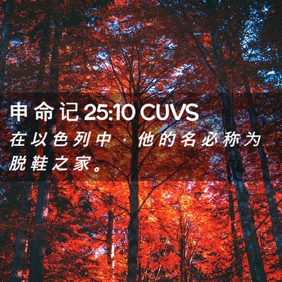 Picture 02 - 申 命 记 25:10 CUVS - 在 以 色 列 中 ， 他 的 名 必 称 为 - Bible Verse Picture