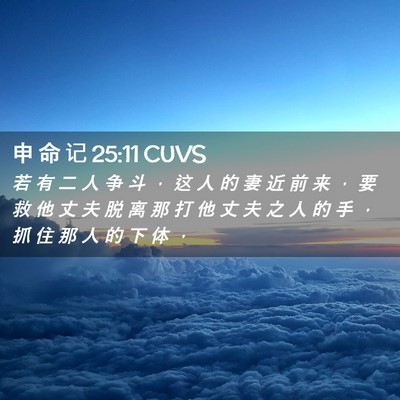 Picture 02 - 申 命 记 25:11 CUVS - 若 有 二 人 争 斗 ， 这 人 的 妻 近 - Bible Verse Picture