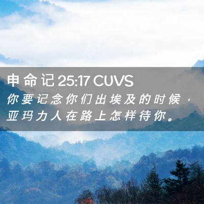 Picture 02 - 申 命 记 25:17 CUVS - 你 要 记 念 你 们 出 埃 及 的 时 候 - Bible Verse Picture