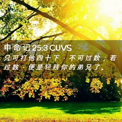 Picture 02 - 申 命 记 25:3 CUVS - 只 可 打 他 四 十 下 ， 不 可 过 数 - Bible Verse Picture