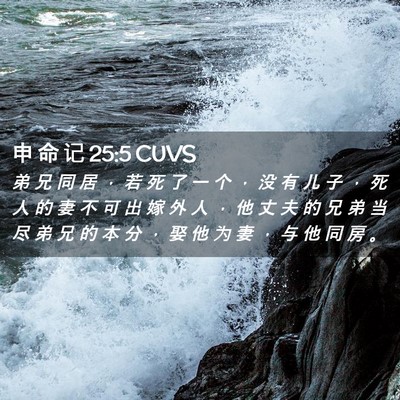 Picture 02 - 申 命 记 25:5 CUVS - 弟 兄 同 居 ， 若 死 了 一 个 ， 没 - Bible Verse Picture